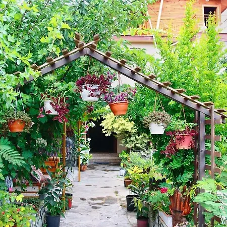 Bed & Breakfast Rosemary 4*