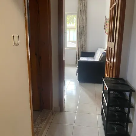 Rosemary Kütle Çıralı