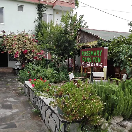 Rosemary Kuetle Çıralı