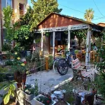 Bed & Breakfast Rosemary Kuetle Pansiyon Cirali
