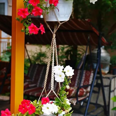 Rosemary Çıralı