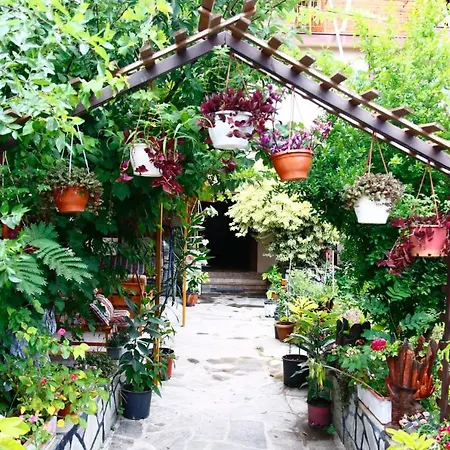 Rosemary Bed & Breakfast Cirali