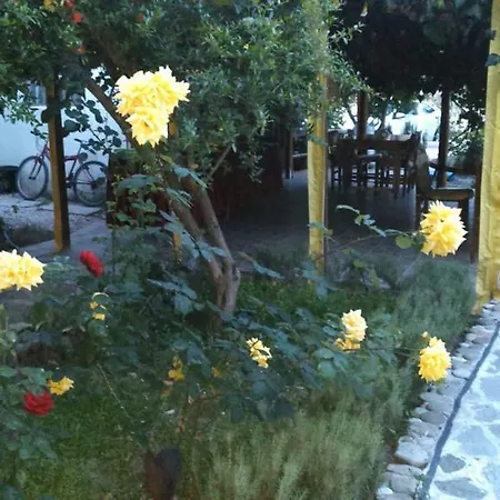 Oda ve Kahvaltı Rosemary Çıralı