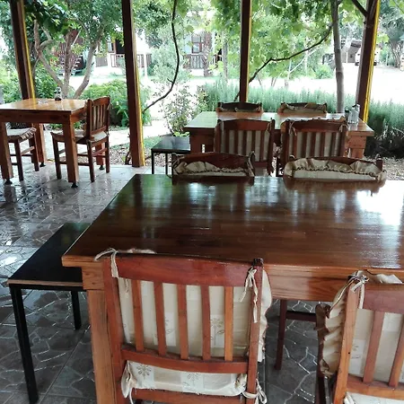 Rosemary 4* Çıralı