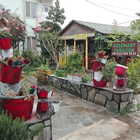 Rosemary 4* Çıralı