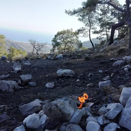 Oda ve Kahvaltı Rosemary 4*