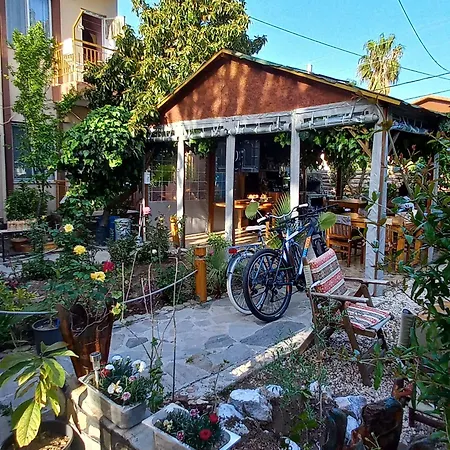 Oda ve Kahvaltı Rosemary Çıralı