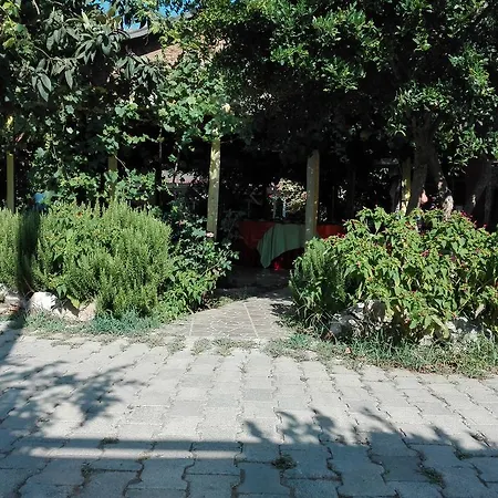 Rosemary Çıralı